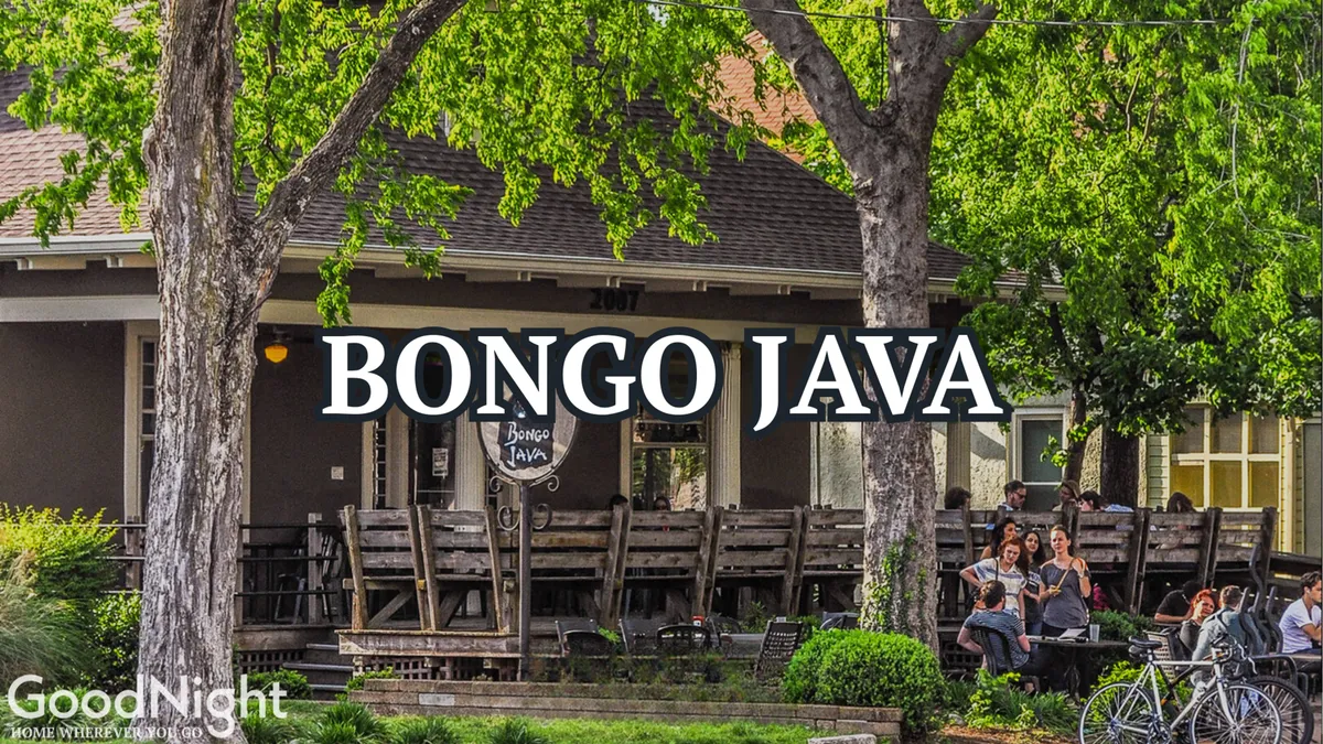 This exterior photo features the recognizable Bongo Java coffee shop sign, outdoor seating, and leafy trees. The welcoming atmosphere suggests a spot perfect for casual meetups, study breaks, or unwinding after a day of work or classes.